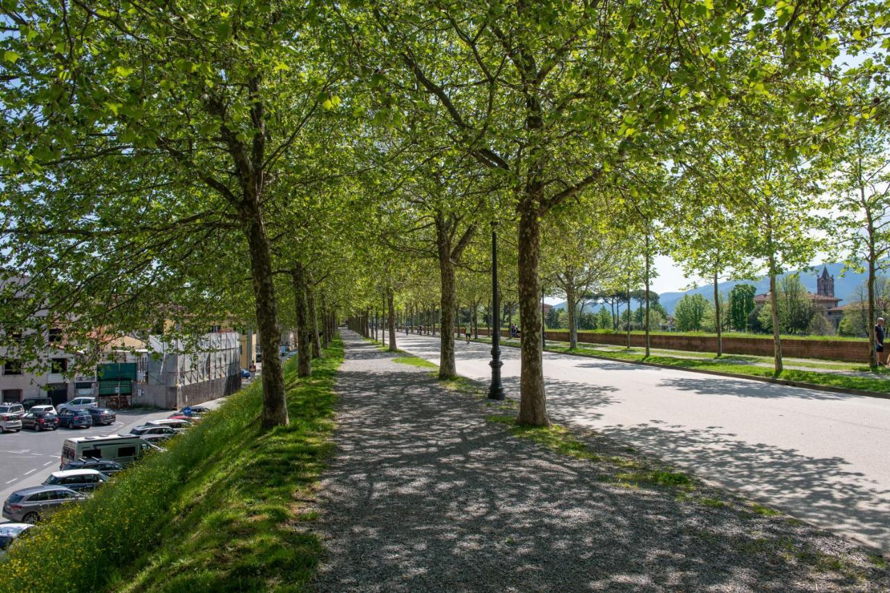 Villa Cittadella Lucca Esterno foto